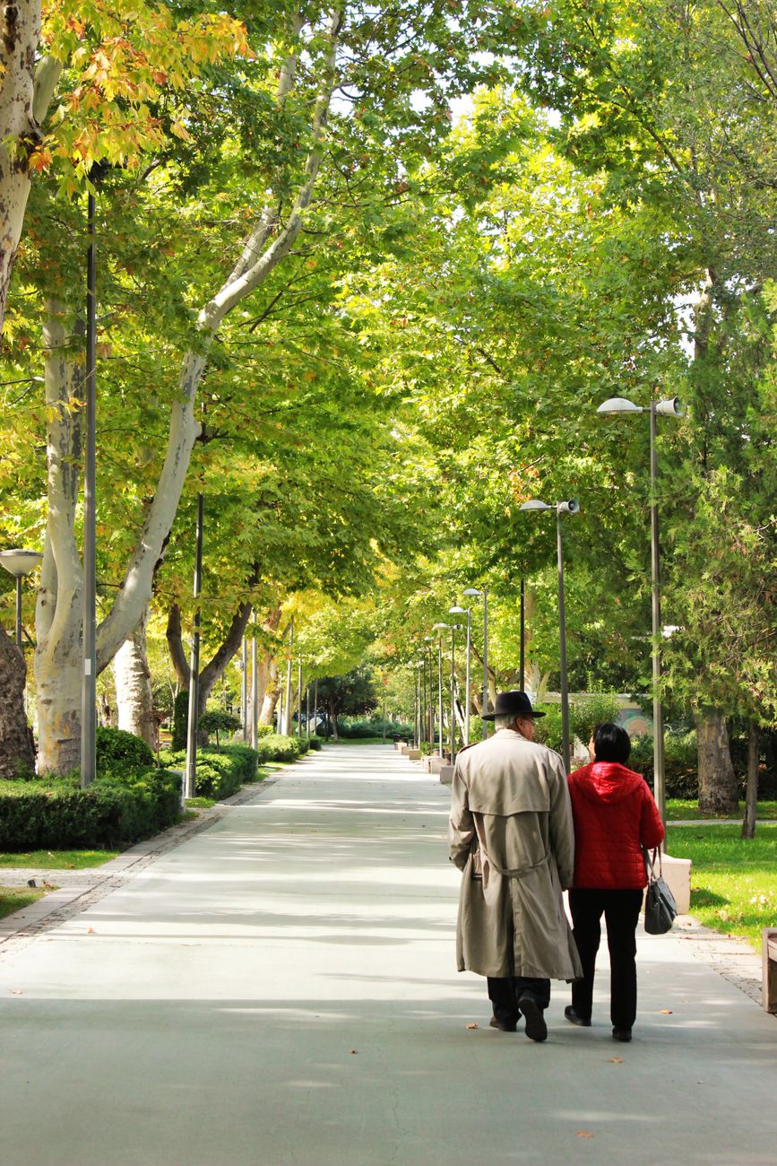 Two figures on horseback under a tree against red background.